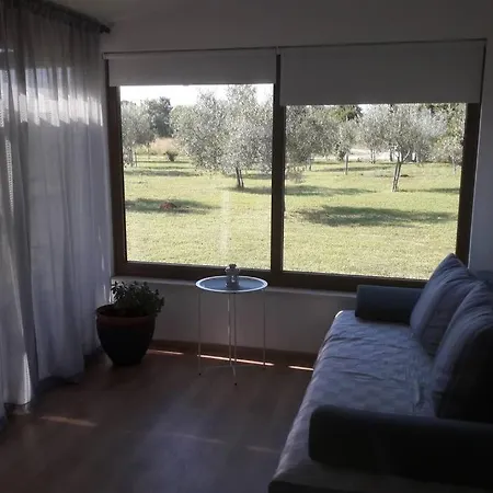 Casa de Férias House For Rest Olivum Loborika